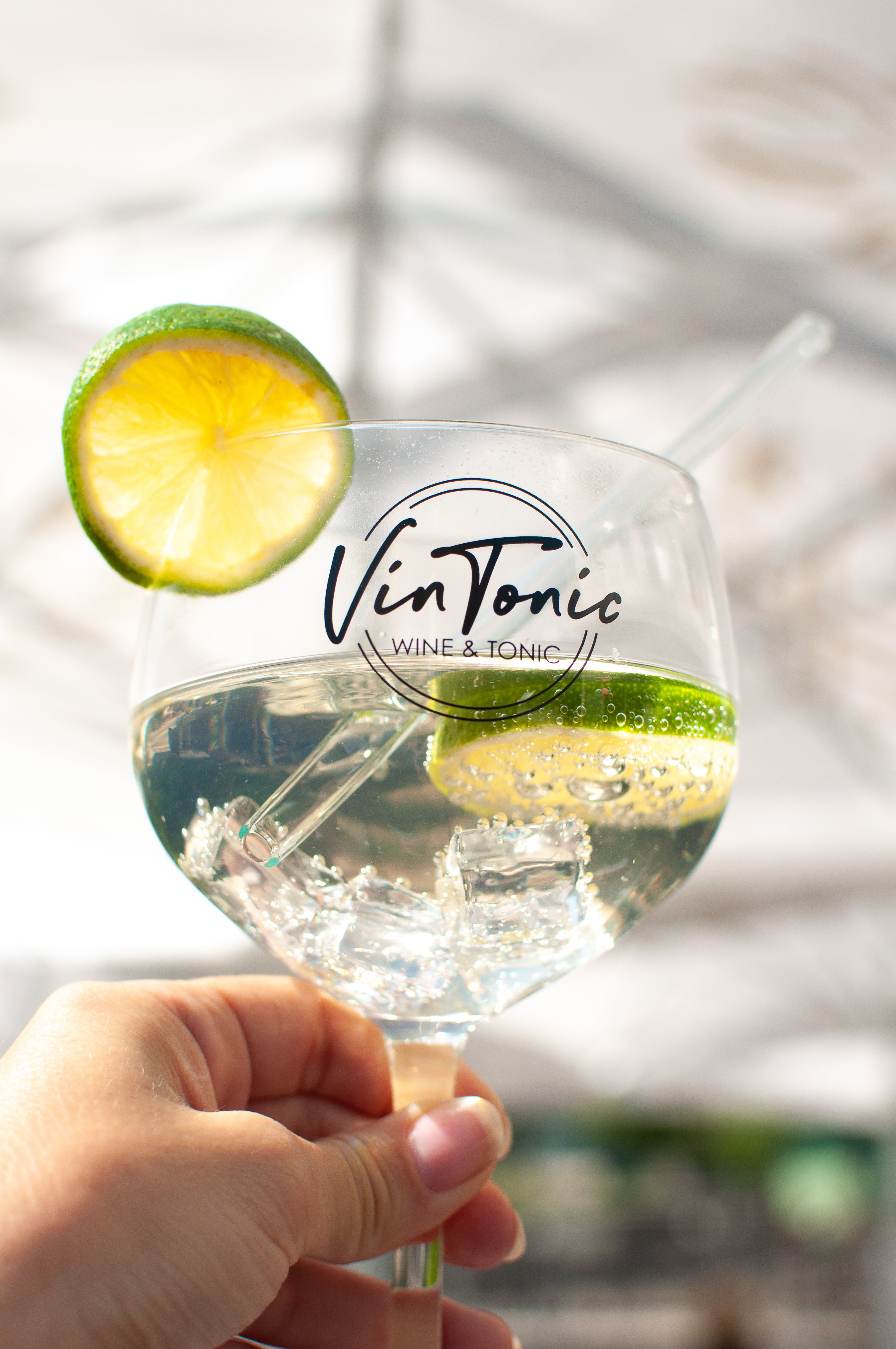 VinTonic Classic | 6 x 0,75 L